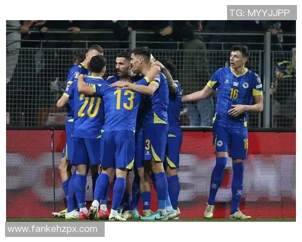 波黑足球现役明星球员全景盘点与成就分析