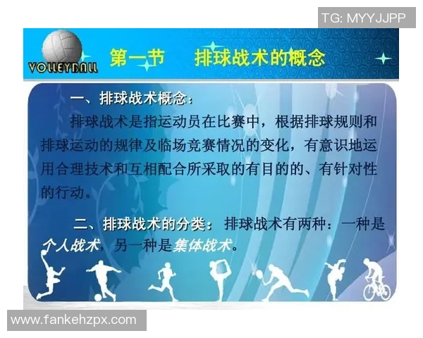 深圳排球队在精英赛中的战术分析与表现评估