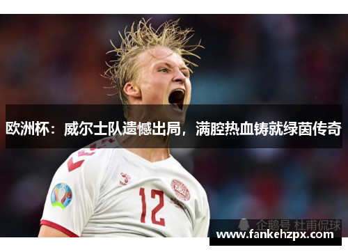 欧洲杯：威尔士队遗憾出局，满腔热血铸就绿茵传奇