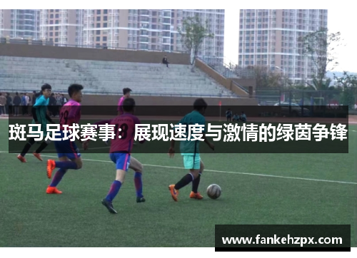 斑马足球赛事：展现速度与激情的绿茵争锋